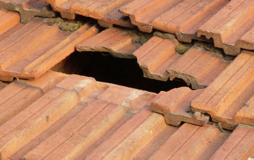 roof repair Forder Green, Devon